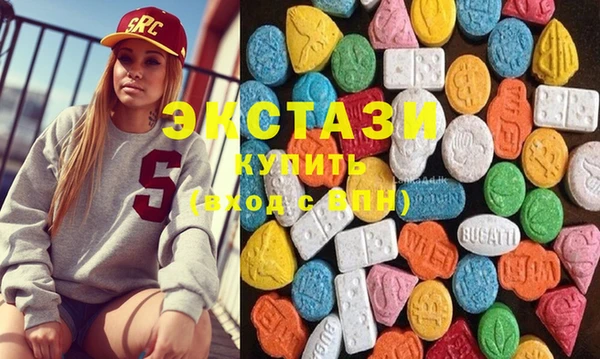 ECSTASY Богородицк